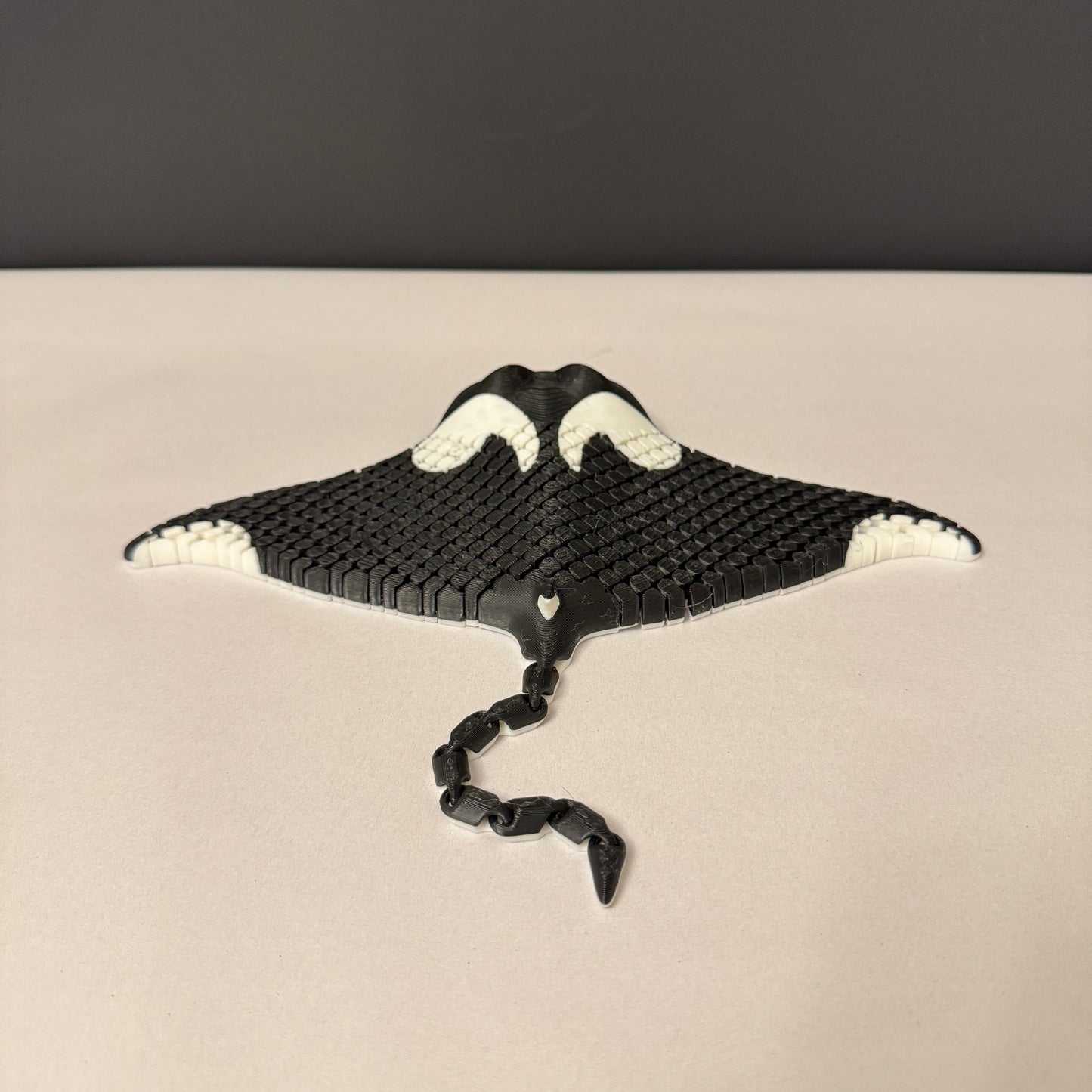 Wiggling Manta Ray